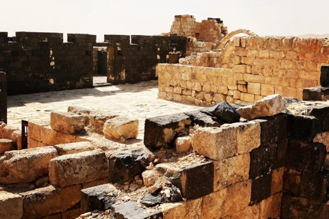 History & Nature: Azraq Wetland Reserve and Desert Castles