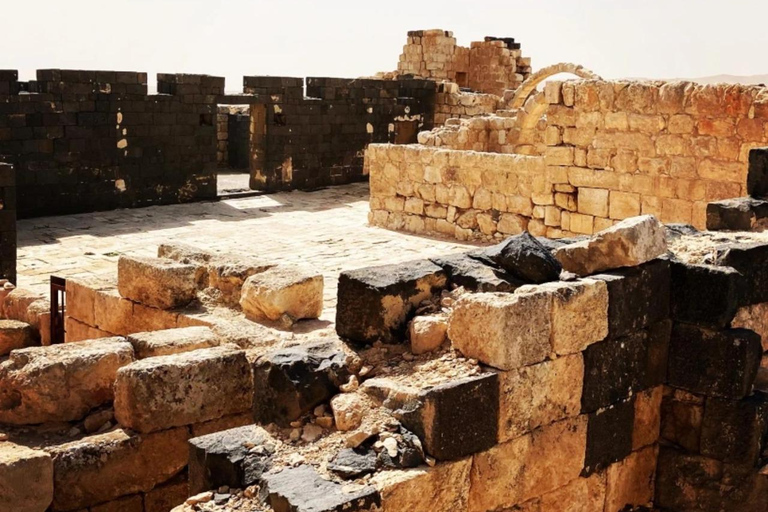 History & Nature: Azraq Wetland Reserve and Desert Castles