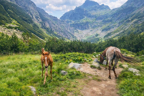 From Sofia: Rila Mountain - Easy Hike & Optional Local Lunch From Sofia: Rila Mountain - Shared Group Option
