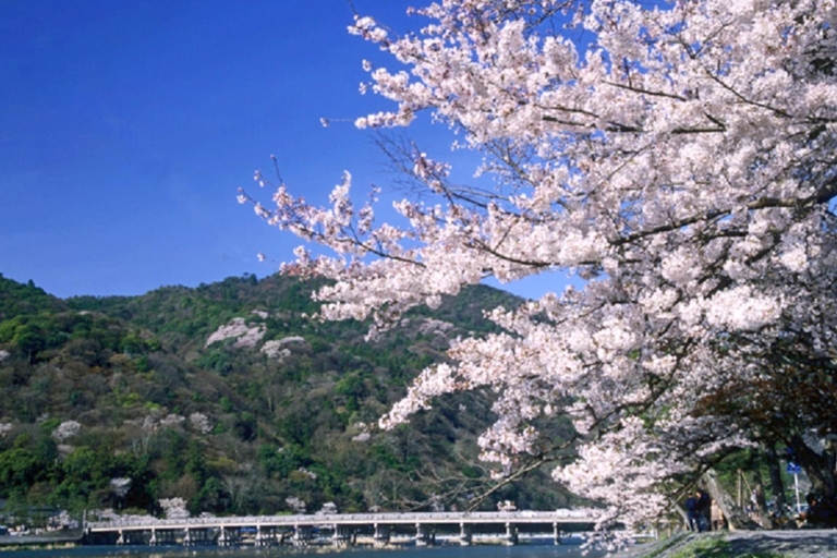 Von Kyoto aus: Geführter Tagesausflug nach Kyoto und Nara mit MittagessenTour mit Mittagsbuffet Zeitplan 2024