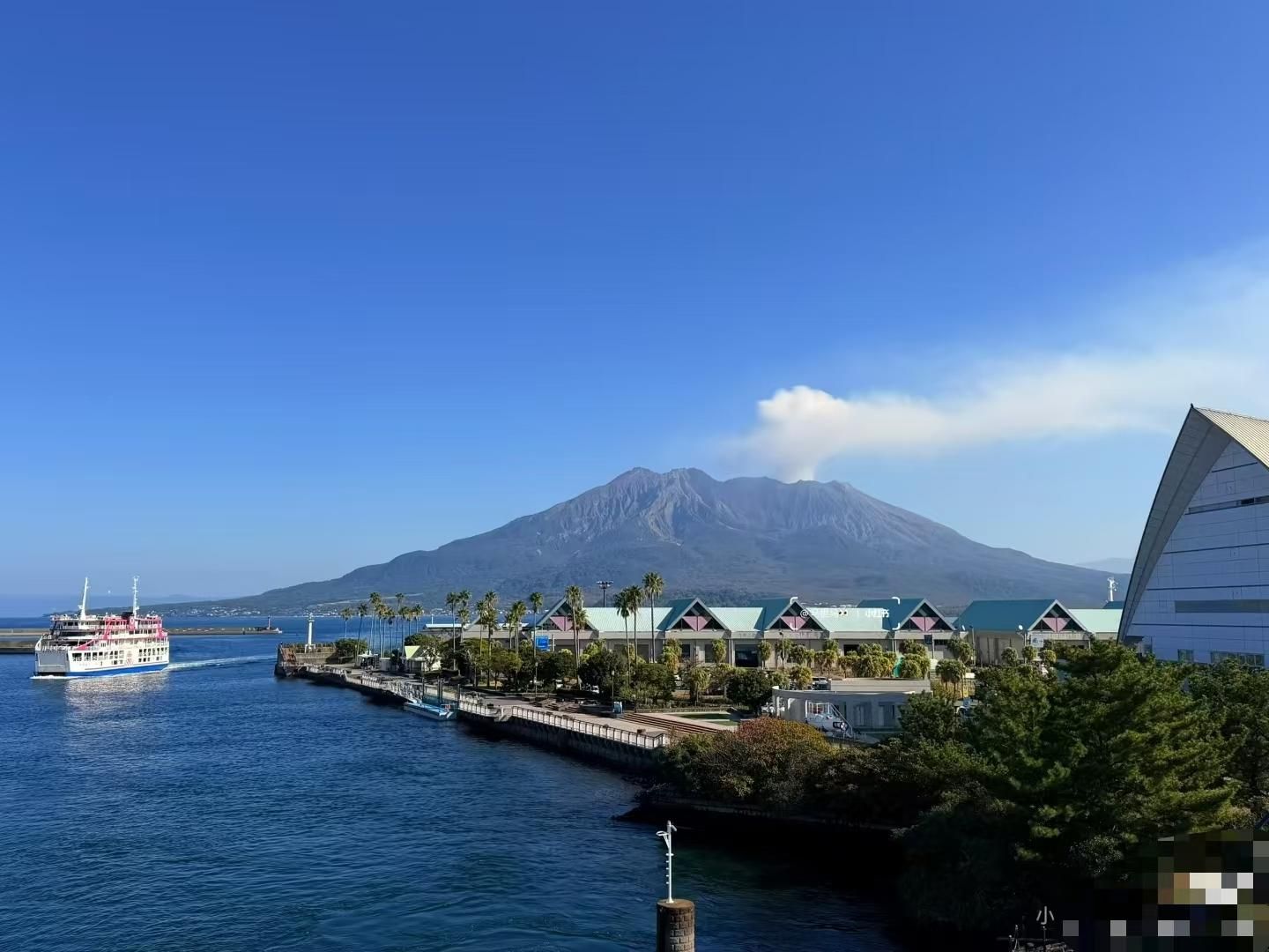 Kagoshima: Privater Landausflug für Kreuzfahrtgäste (6 Std.)