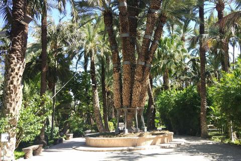 Desde Alicante: Excursión al Jardín Botánico Nacional