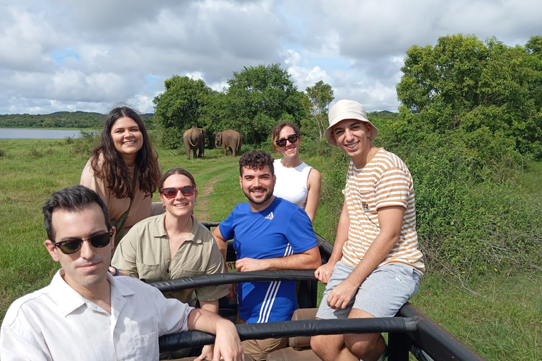 Experimenta a vida selvagem no Minneriya National Park Safari