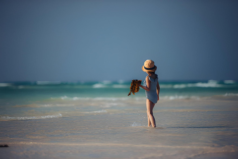 Zanzibar : expérience algues et village de PajeZanzibar : visite des algues et du village de Paje