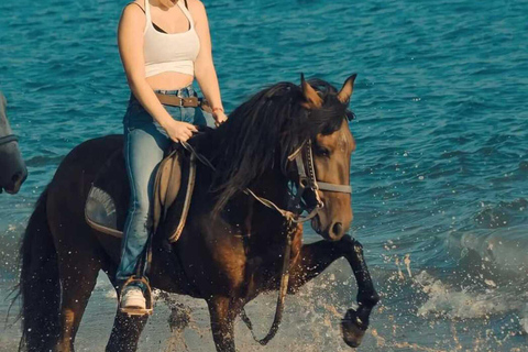 Manavgat/Side: Horse Riding on the Beach and in the Forest