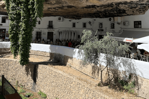 Depuis Malaga : Ronda et Setenil de las Bodegas