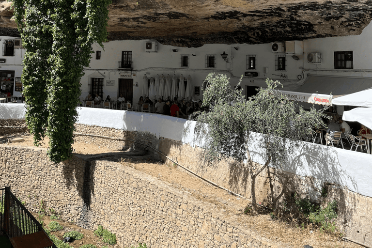 Vanuit Málaga: Ronda en Setenil de las Bodegas