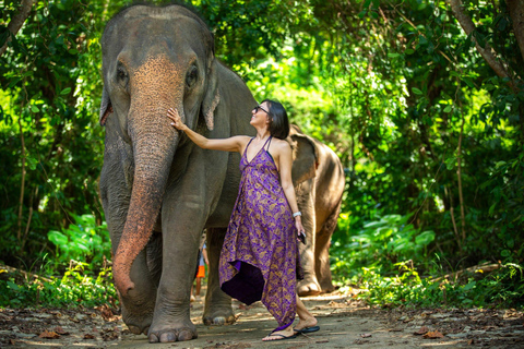 Phuket: Half‑Day Elephant Care Experience Including Lunch