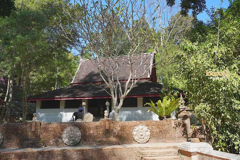 Temple de Doi Suthep, ferme d&#039;orchidées et cascade de Sticky avec déjeuner