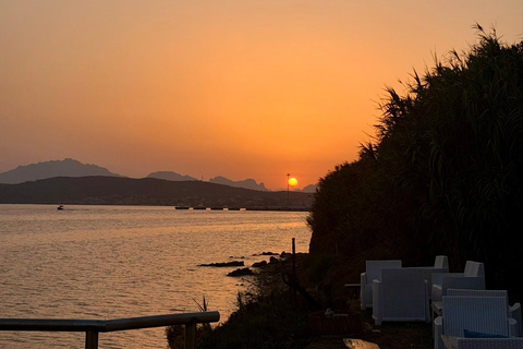 Golfo Aranci: transparent or traditional kayak, dolphins, and aperitif Sunset Tour in a Traditional Kayak with Aperitivo and Dolphins