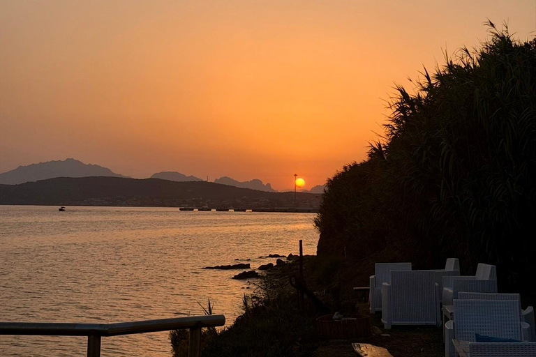 Golfo Aranci: transparent or traditional kayak, dolphins, and aperitif Sunset Tour in a Traditional Kayak with Aperitivo and Dolphins