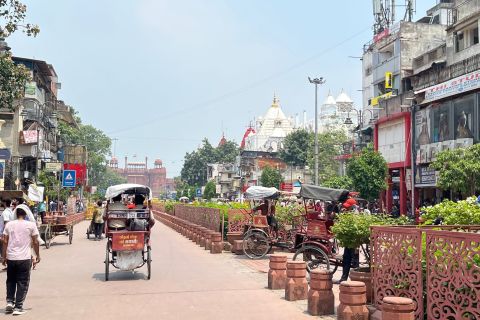 Vecchia Delhi: tour guidato di Chandni Chowk, degustazione di cibo e tuk tuk