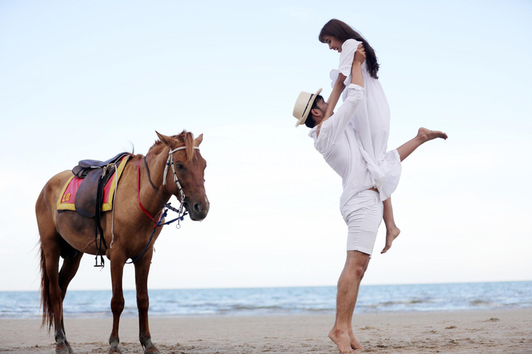 Al Shahama: Luxury Beach Horseback Riding Experience Luxury Beach Ride with Picnic