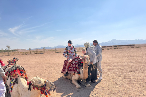 Hurghada: Camel Ride & horse ride and Off-Road Jeep Tour pickup from hotels inside hurghada