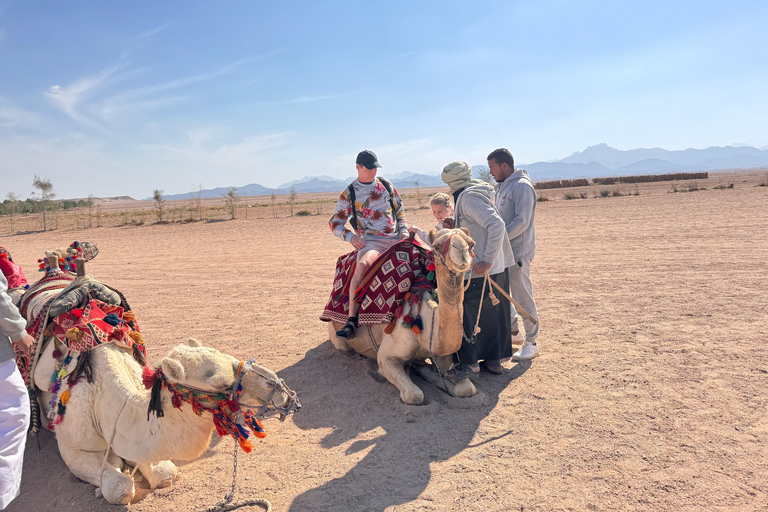 Hurghada: Camel Ride & horse ride and Off-Road Jeep Tour pickup from hotels inside hurghada