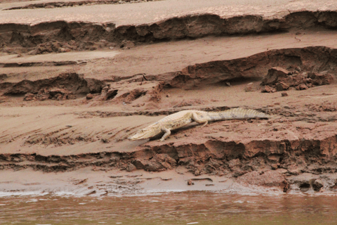 Puerto Maldonado: Sunset Boat Safari on Tambopata River