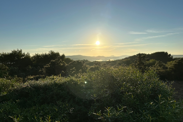 Menorca ontwaakt: Ontbijt bij zonsopgangMenorca: Zonsopgang Ontbijt en Kustwandeling