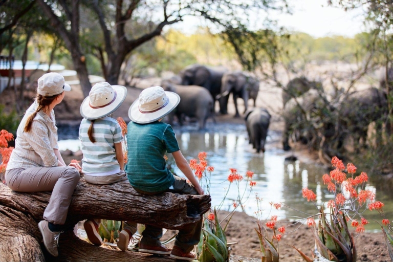 Die besten Tansania Budget Camping Safaris Tour Pakete