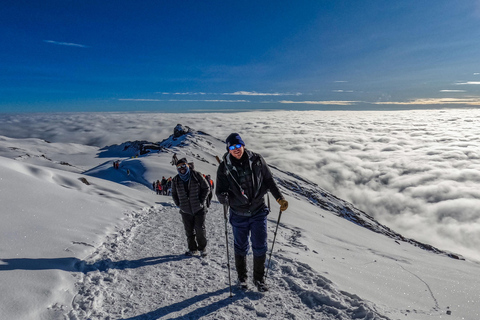 Mount Kilimanjaro: 7 Days Hike Lemosho Route Private Kilimanjaro Climbing 7 Days Lemosho Route