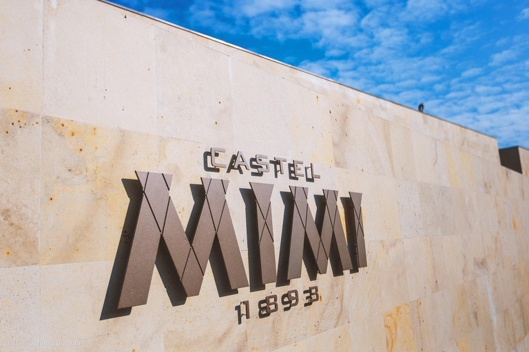 Desde Chisinau:Excursión a bodegas con cata de vinos a Castel MIMI