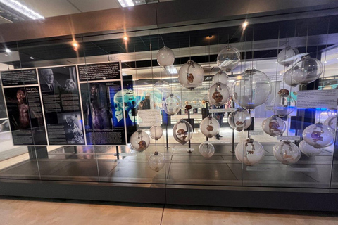 From Johannesburg: Sterkfontein Caves & Maropeng Tour