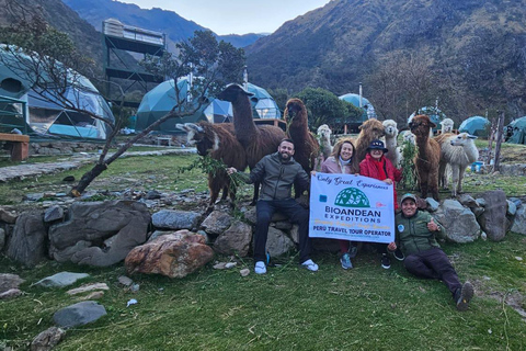Cusco: Humantay Lagoon Hike with Luxury Domes with Alpacas