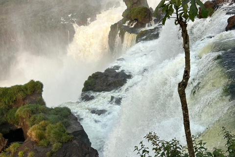 Iguaçu-vattenfallen Privat tur Brasilien och Argentinska sidan