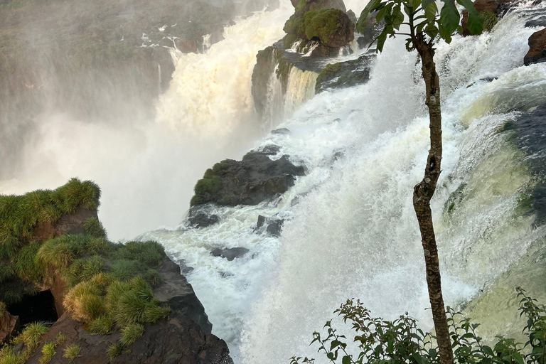 Visite privée des chutes d&#039;Iguaçu côté brésilien et argentin