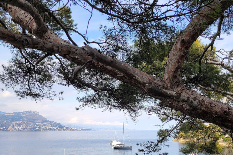 Au départ de Nice : Visite guidée de Monaco et Eze en décapotable électriqueSUV N°2 Nice Monaco Eze Nice en décapotable électrique