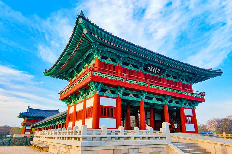 Busan: Spring Cherry Blossom & Gyeongju Highlights Day Tour