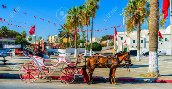 From Sousse/Monastir: Camel Ride and Traditional Farm Visit