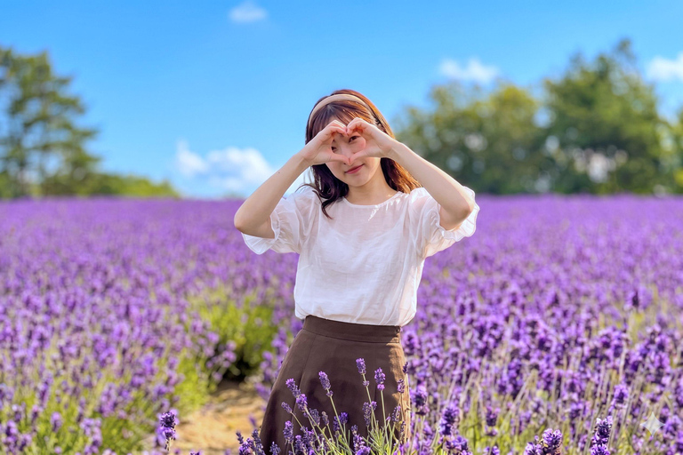 Furano Lavender, Ningle Terrace & Melon Buffet Bus Tour S1-1 [Jun 20 - Aug 9]: Lavender & Buffet