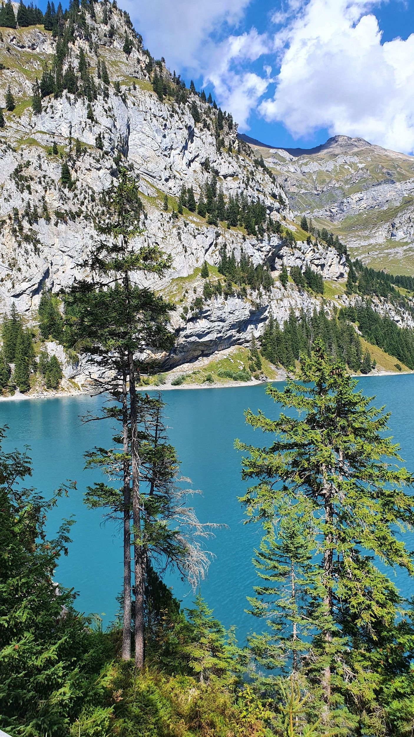 Oeschinen: Besichtigung des Sees & Kandersteg - Privater Van ab Montreux