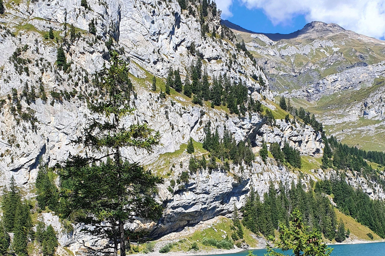Oeschinen: Lake Tour & Kandersteg - Private Van from Montreux
