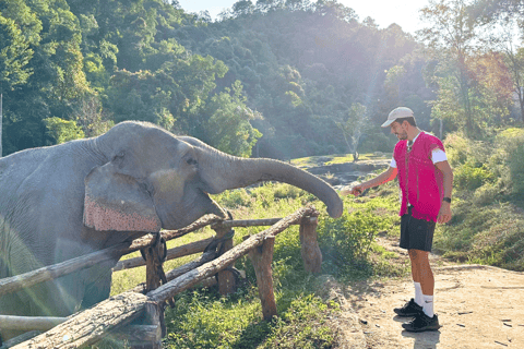 Chiang Mai: Santuario etico degli elefanti e escursione a Doi InthanonChiang Mai: Santuario etico degli elefanti e escursioni a Doi Inthanon