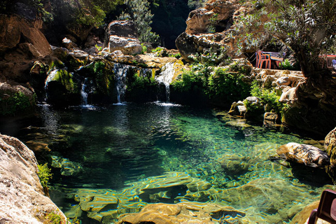 Från Agadir/Taghazout: Paradisdalen och rundtur i Atlasbergen