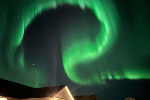 Rovaniemi: Northern Lights Hunters. Aurora + BBQ