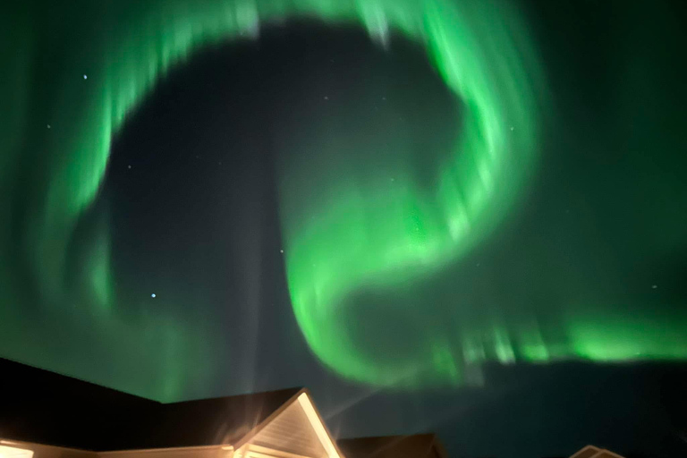 Rovaniemi: Northern Lights Hunters. Aurora + BBQ