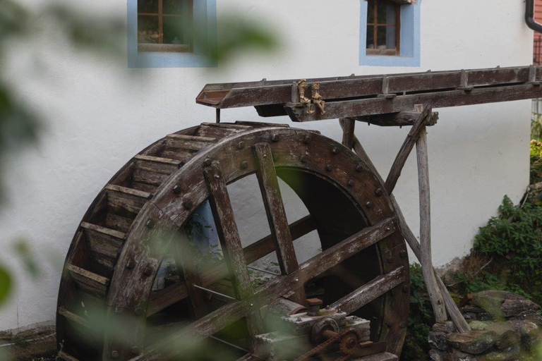 Malé Karpaty: Schloss Červený Kameň + Weinverkostung + AbendessenMalé Karpaty: Schloss Červený Kameň + Weinverkostung - Sommer