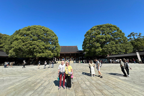 Tokyo Tour Privado En Coche Personalizado Con Guía (Tour en Coche)8 horas en coche