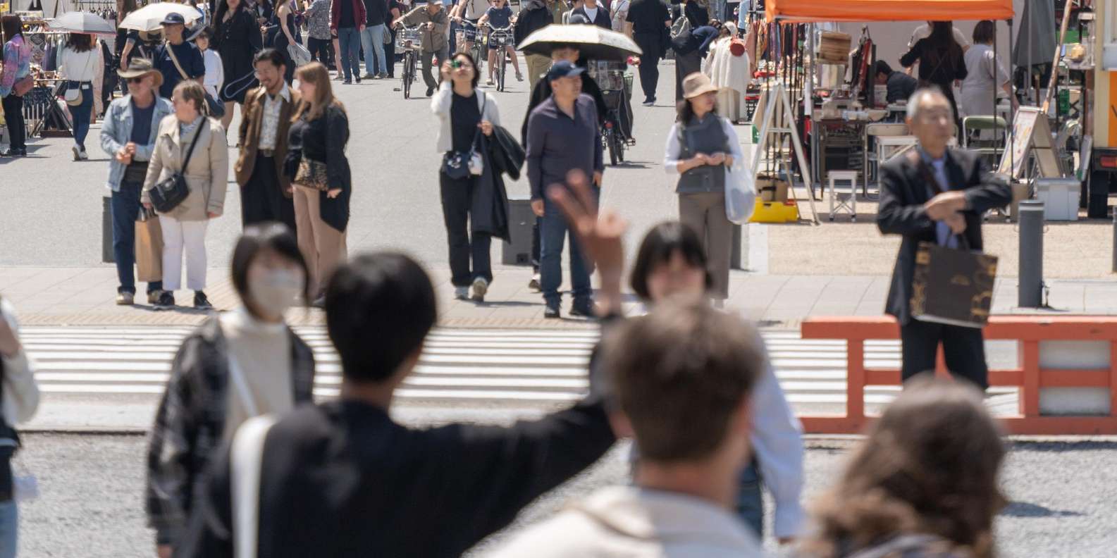 Kyoto experience — temples, geisha, bamboo grove — image 26