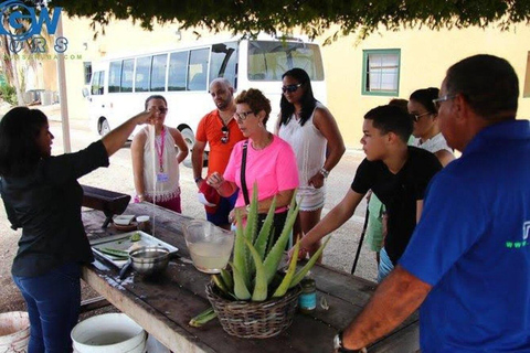 Aruba: Excursión guiada de exploración de la campiñaAruba: Excursión por el campo