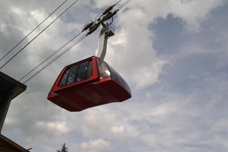 Winter Panorama Mount Pilatus: Small Group Tour from Basel Pilatus (Winter) small group tour from Basel