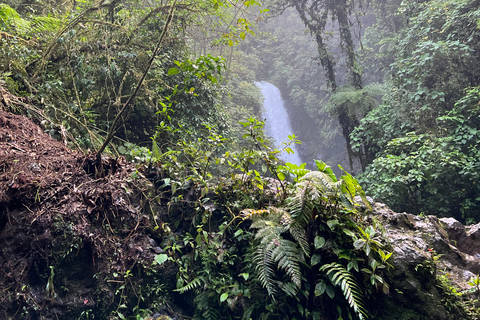 From San José: Poás Volcano, La Paz Waterfalls & Doka Tour