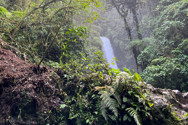 From San José: Poás Volcano, La Paz Waterfalls & Doka Tour