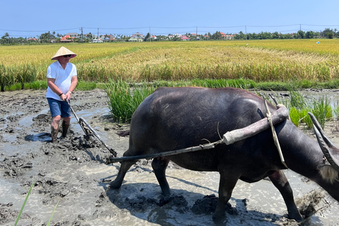 An incredible Hoi An - Water buffalo riding & cooking class