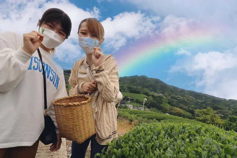 Wazuka: Tea Picking Experience with Matcha Tea Tasting