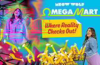 Las Vegas: Meow Wolf Omega Mart Ticket