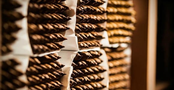 Punta Cana: Cultural Sightseeing Tour with a rum factory, cigars, cocoa, and coffee