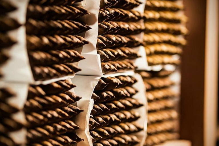 Punta Cana: Cigar Factory Visit and Local Shopping Tour Punta Cana: Tour of the Cigar Factory